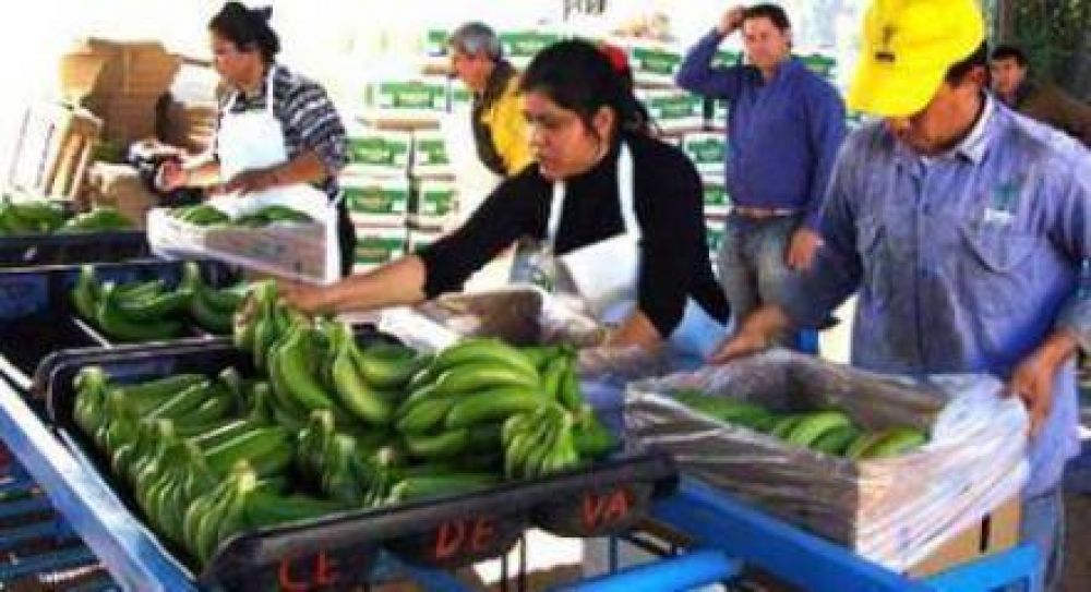 Parte nuevo envo de bananas formoseas hacia el Mercado Central 