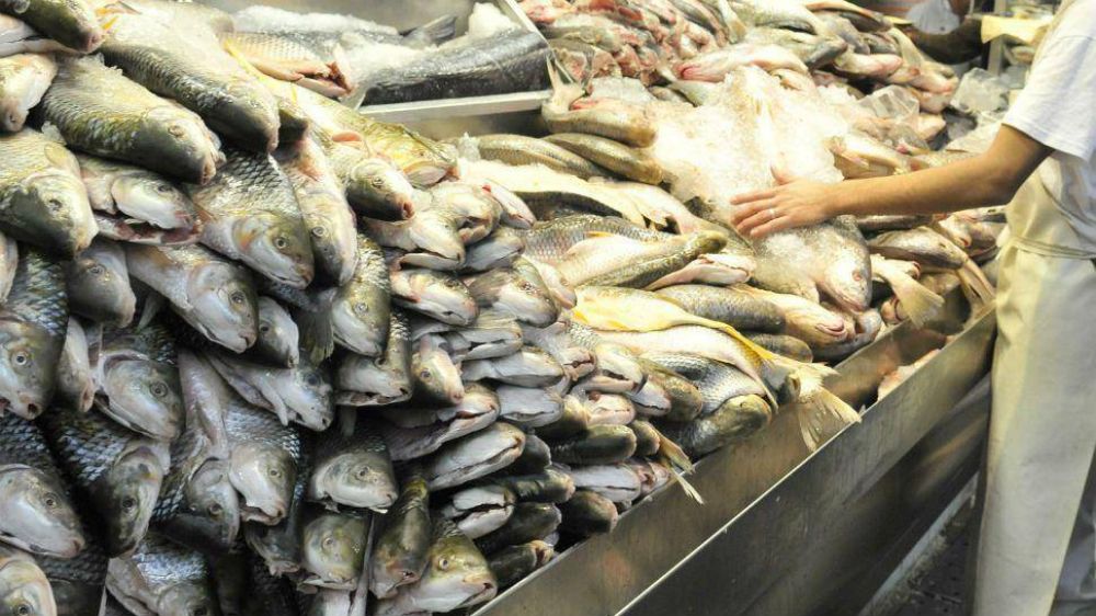 "Pescado para todos" llega a C�rdoba