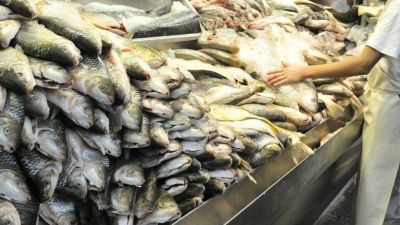 "Pescado para todos" llega a C�rdoba
