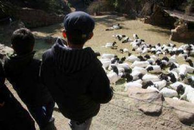 Promueven un Zoo con animales virtuales