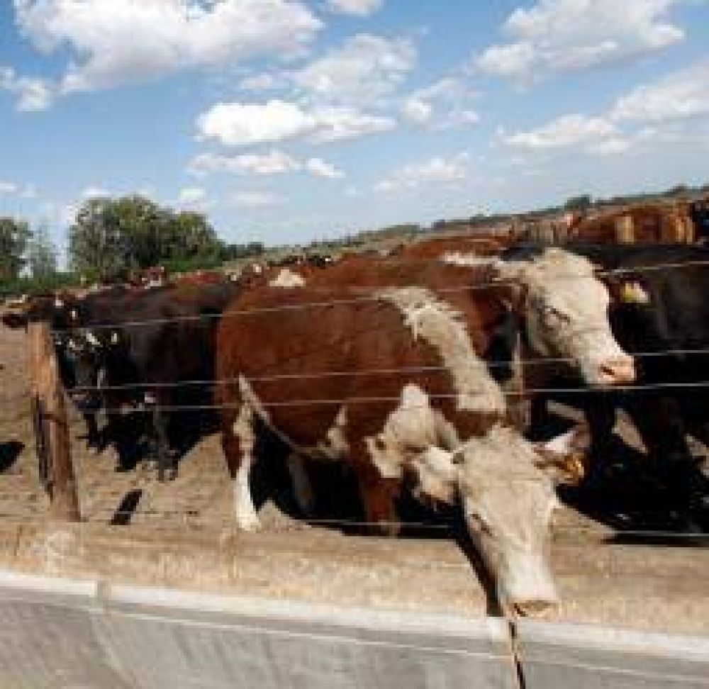 Naci�n auxilia a la ganader�a riojana con 16 millones de pesos