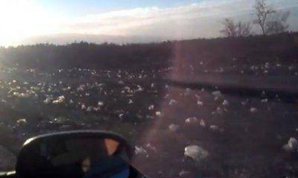 Basura en la Ruta 7: un vecino de San Mart�n se cans� y lo film�