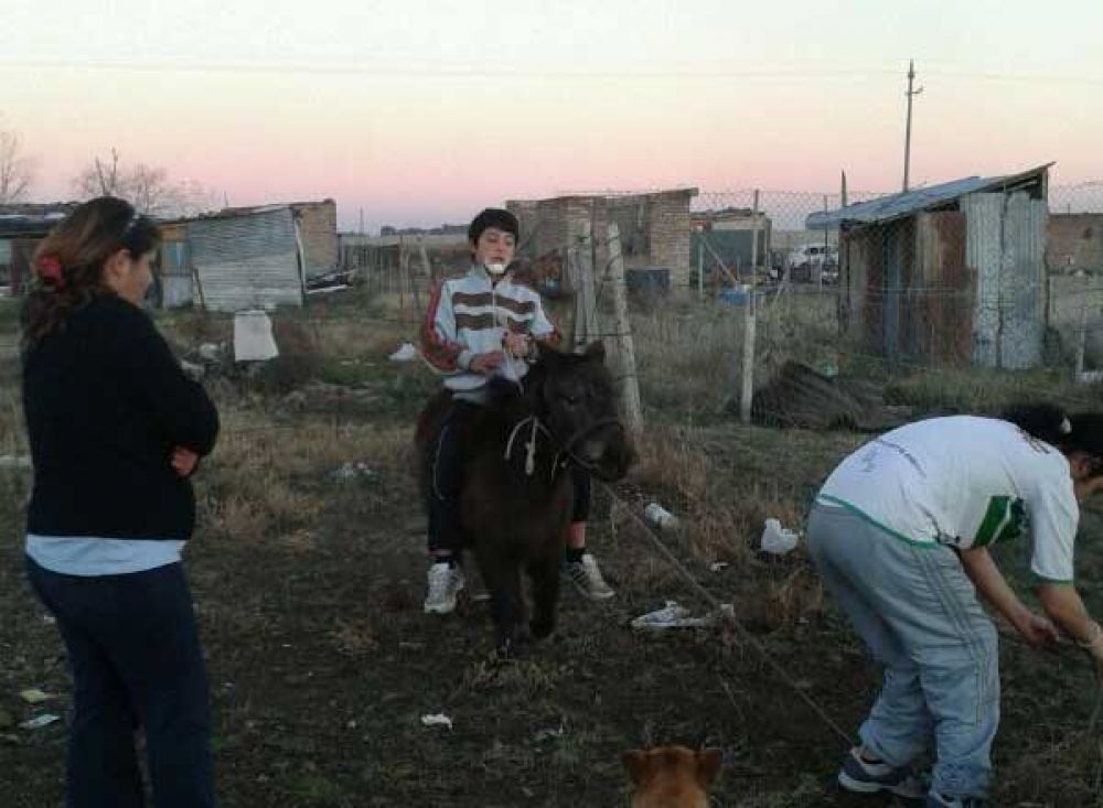 Realizan un allanamiento para recuperar un poni
