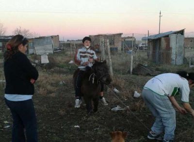 Realizan un allanamiento para recuperar un poni
