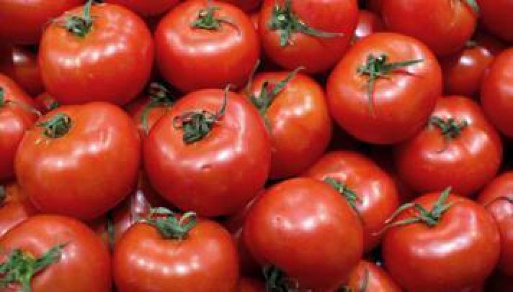 Faltante de tomates: advierten que "se vienen dos a�os complicados"