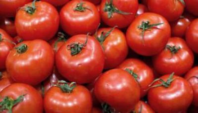 Faltante de tomates: advierten que "se vienen dos a�os complicados"
