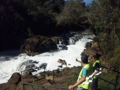 Sigue detenido el chofer que dej� caer la carga en Garuhap�