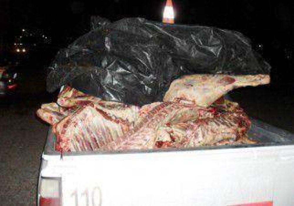 Frenaron 1.000 kilos de carne con destino a Neuqu�n 