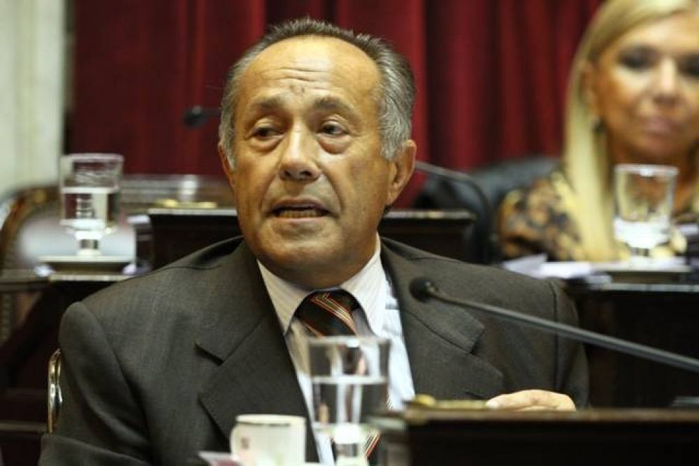 Adolfo: "Se pone en juego la continuidad del kirchnerismo"