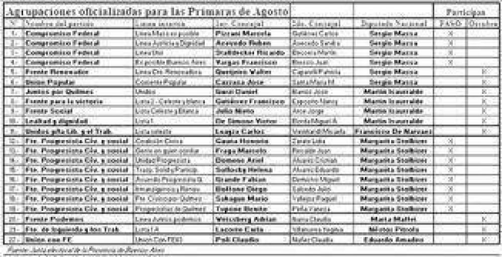 Carrera a octubre: Confirman 22 agrupaciones para las PASO