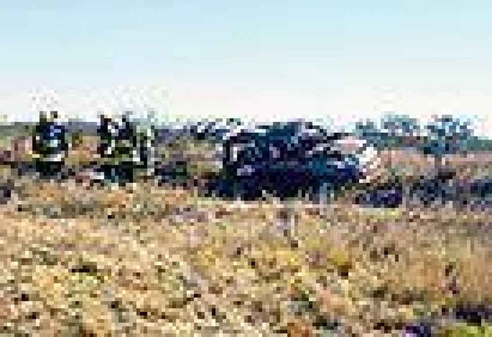 Muri� una adolescente tras volcar un auto