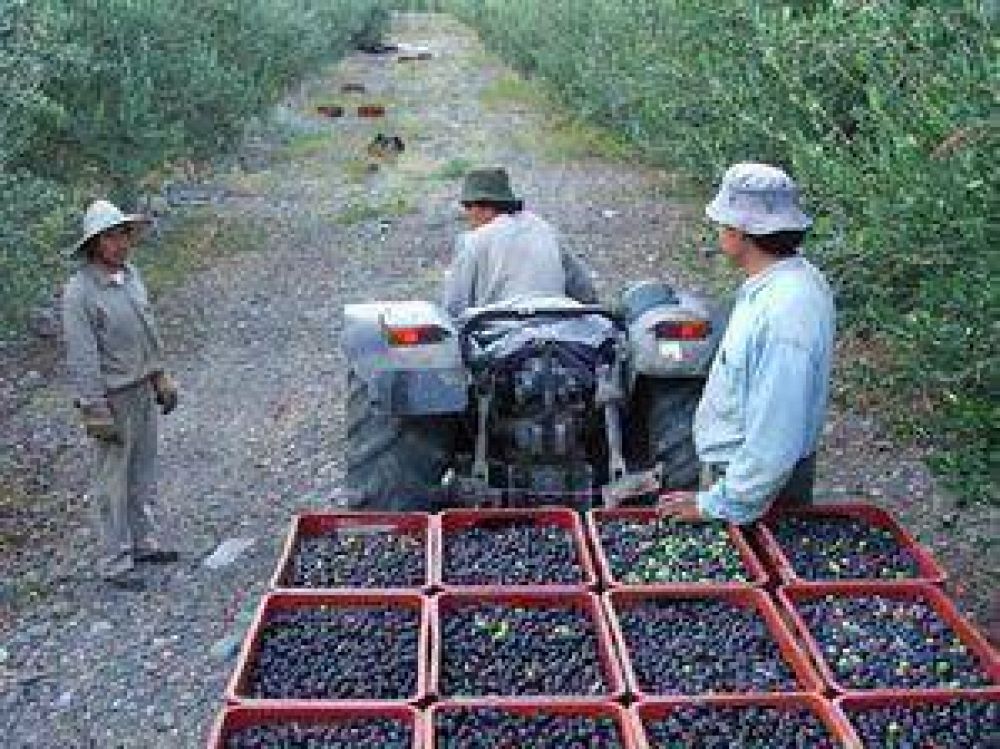  Jaqueada por costos internos hubo una mayor producci�n