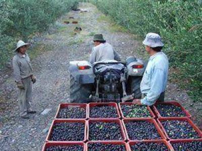  Jaqueada por costos internos hubo una mayor producci�n