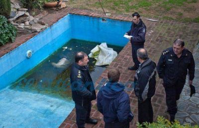 Hallan muerto a un joven en una piscina de una vivienda del barrio Pinos de Anchorena