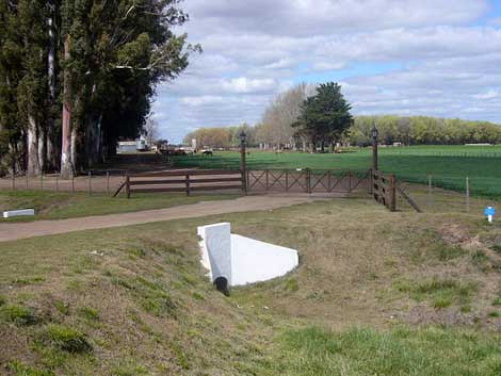 Robaron un bat�n que estaba para la venta 