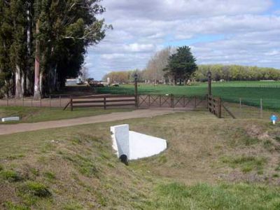 Robaron un bat�n que estaba para la venta 