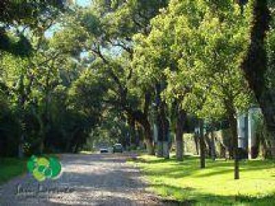 Salta: Encontraron muerto a un hombre en San Lorenzo