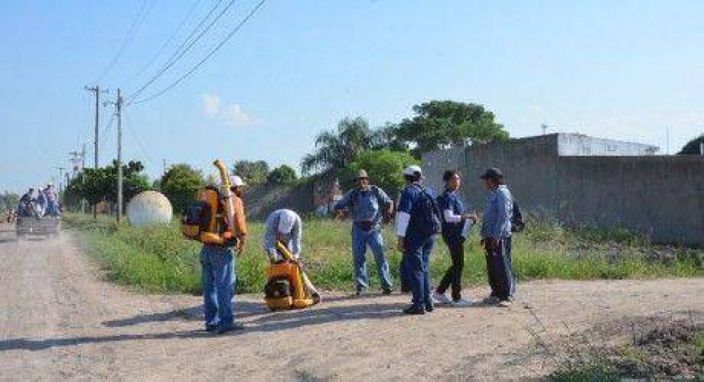 Contin�a campa�a contra el dengue