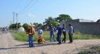 Contin�a campa�a contra el dengue