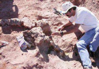 Descubren nueva especie de dino 