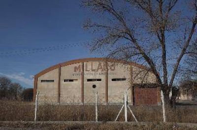 Sacan a remate planta juguera de la ex-Millac�