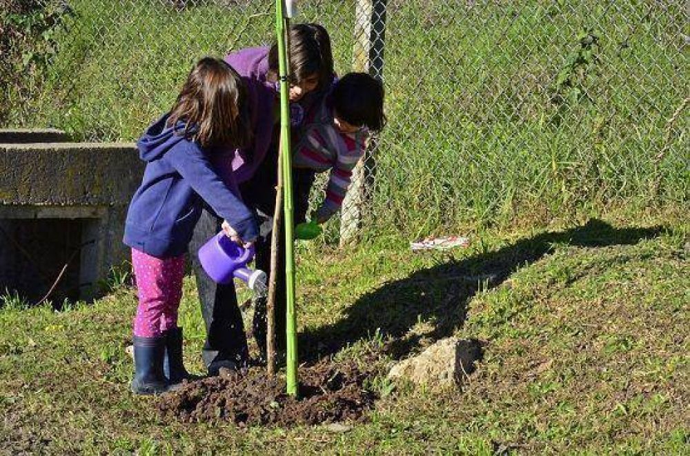 Junto a los vecinos del barrio La Floresta, el Municipio plant� �rboles