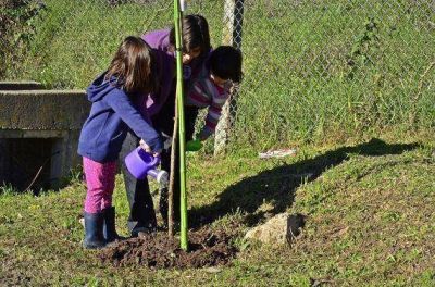 Junto a los vecinos del barrio La Floresta, el Municipio plant� �rboles