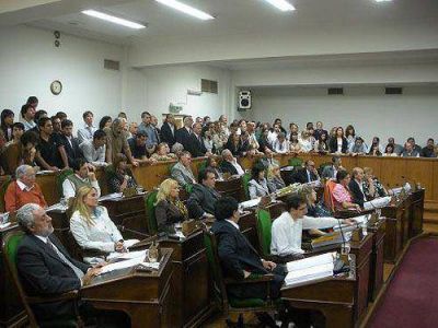 Concejales m�s j�venes: Se viene la consulta popular