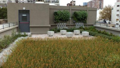 Escuelas sustentables para una Ciudad m�s verde