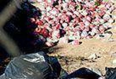 El basurero municipal est� colapsado