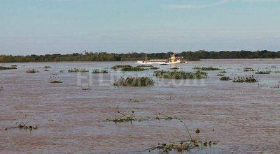 La crecida no superar� el nivel de alerta