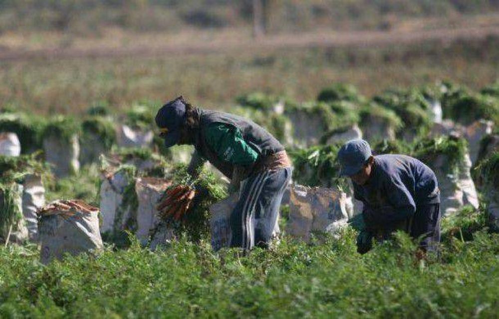 Anuncian la elaboraci�n de un diagn�stico de trabajo infantil