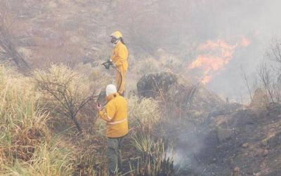 Incendio afecta cerros de Taf� del Valle
