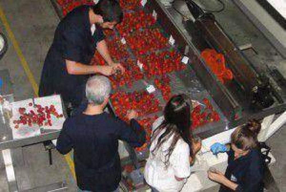 Instituto marplatense logr� extender la vida �til de las frutillas