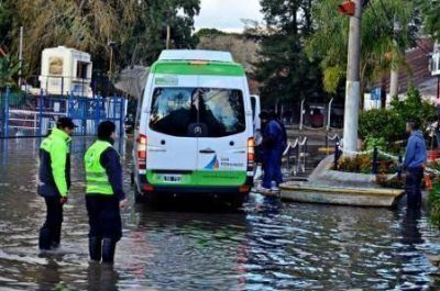 San Fernando present� su nueva flota de m�viles de Protecci�n Ciudadana 