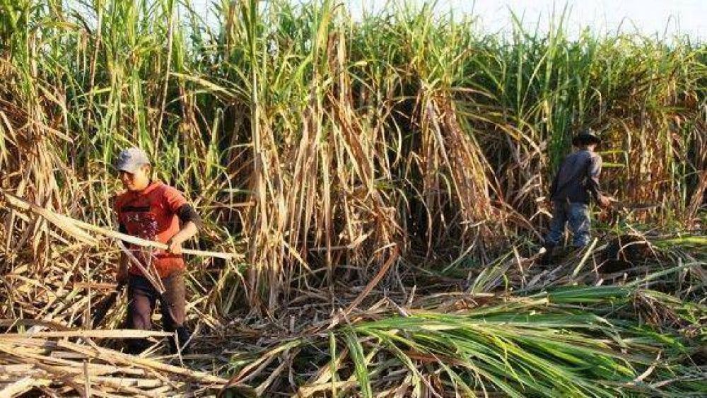 A fin de mes llegar�an los fondos de ayuda para peque�os ca�eros