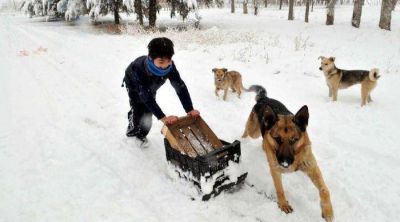La nevada dej� hermosos paisajes y alg�n trastorno