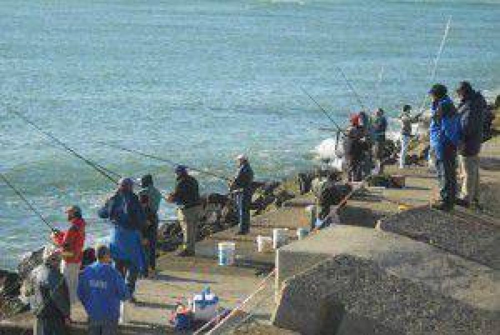  Baragiola impulsa soluciones para la pesca deportiva