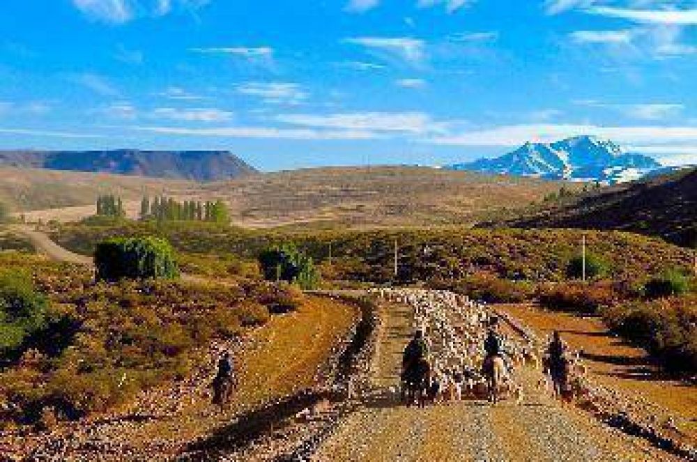 Levantan postes que imped�an paso a crianceros