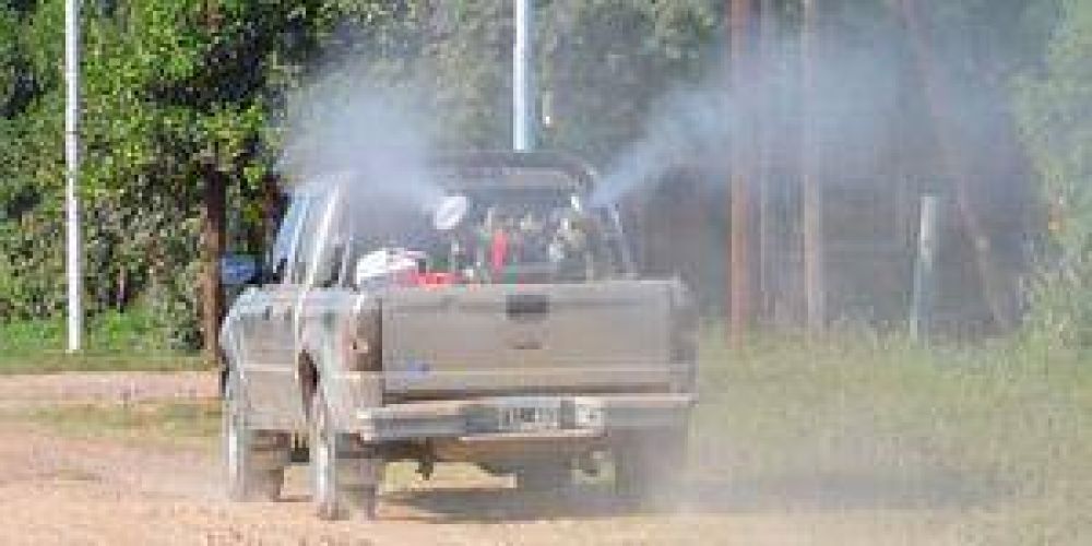 Contin�an las actividades contra el dengue