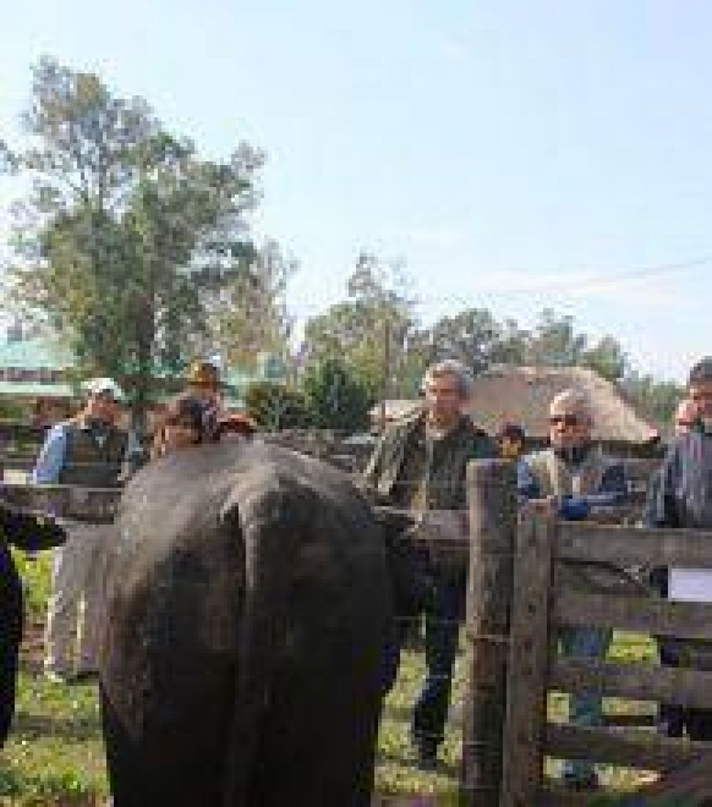 Ponderan acentuada evoluci�n de la calidad de la hacienda formose�a