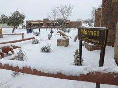  La nieve sorprendi� a los sanjuaninos