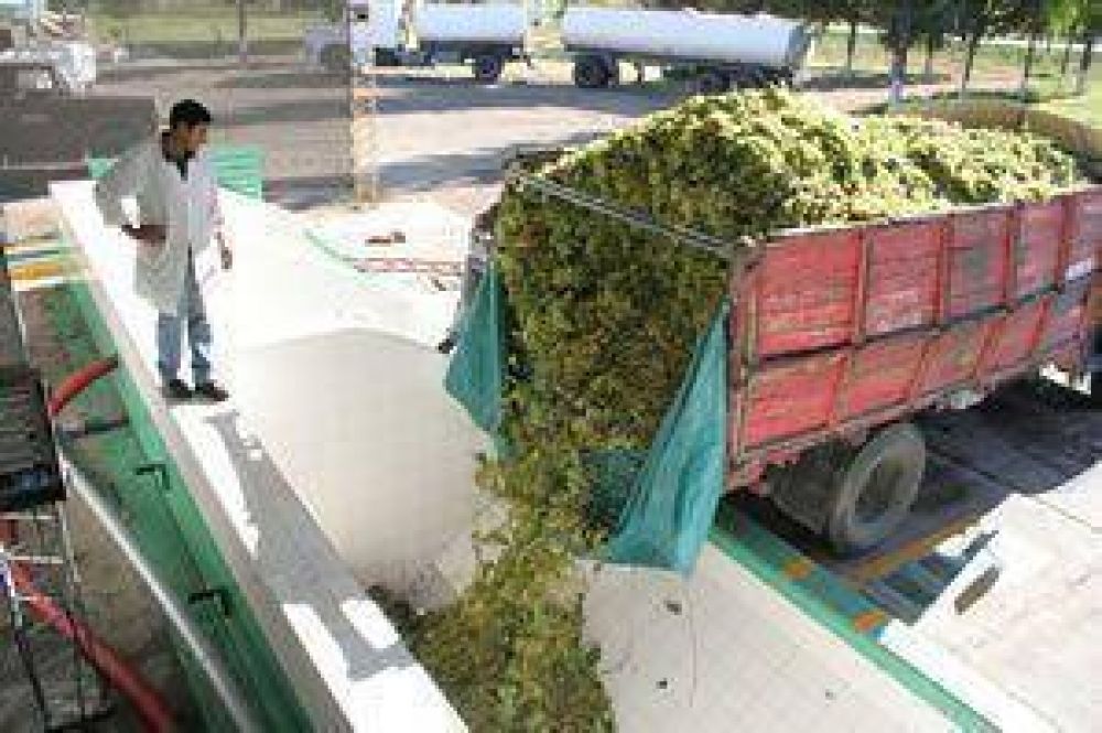  Esperan que mercado del mosto se descomprima en septiembre