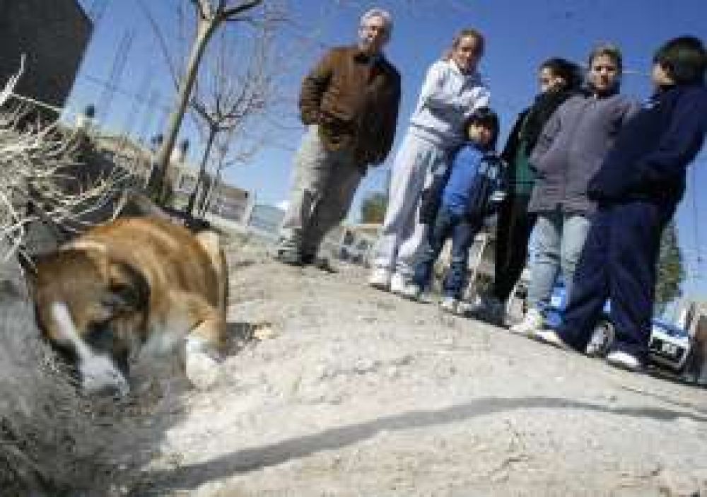 Conmoci�n en un barrio por la matanza de perros