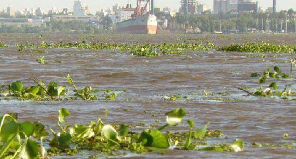 Paran�: el pico llegar�a el lunes