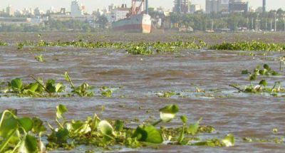 Paran�: el pico llegar�a el lunes