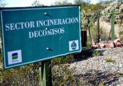 Decomisaron otros 4.000 kilos de carne 