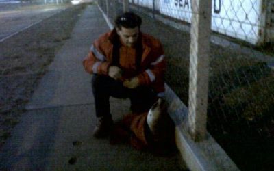 Un lobito de mar en plena calle