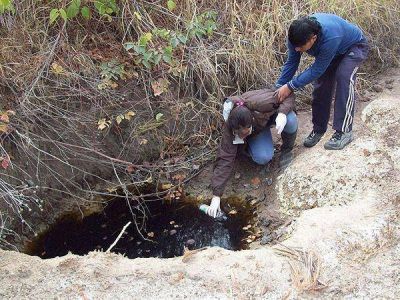 Investigaci�n oficial sobre los vertidos corrosivos que afectaron a perros en Palpal�
