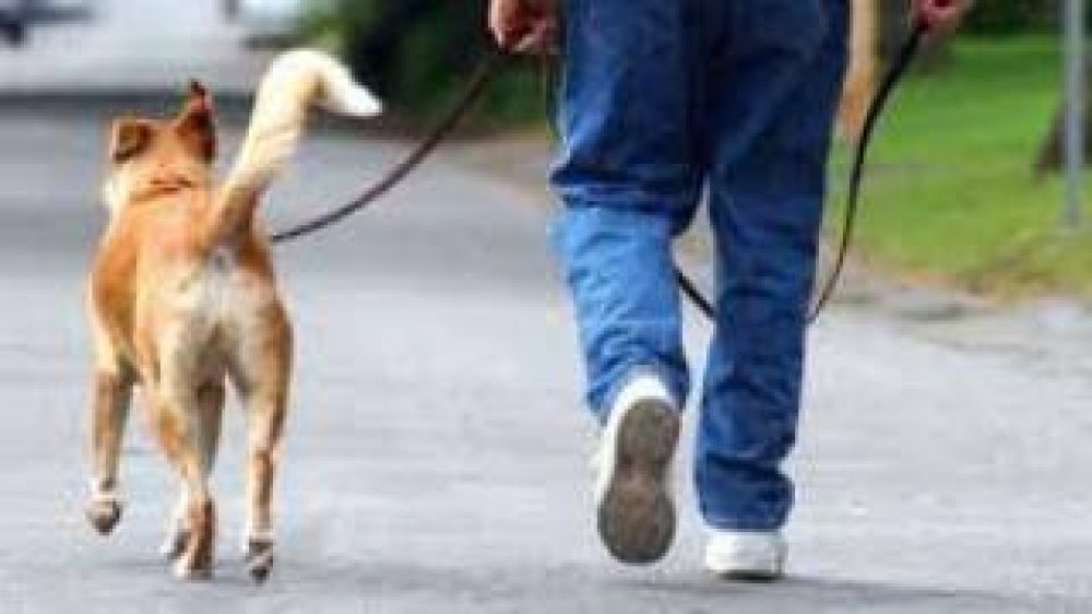 Se inici� la campa�a �El perro es tuyo, la ciudad de todos�